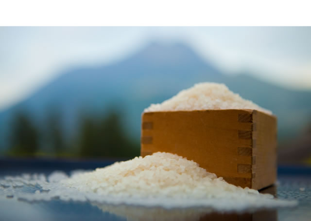 这里的米饭使用的是汤布院镇内的合作农家种的大米——“Oita Hitomebore”米，每次根据我们所需的量分批生产