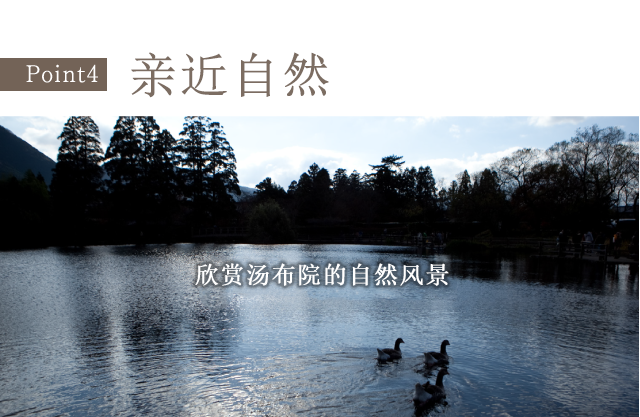 亲近自然