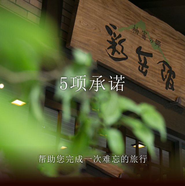 5项承诺