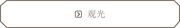 观光