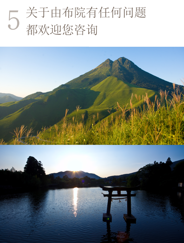 关于由布院有任何问题都欢迎您咨询
