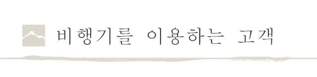 비행기를 이용하는 고객