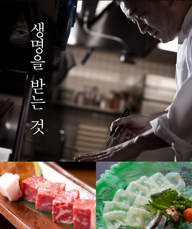 생명을 받는 것
