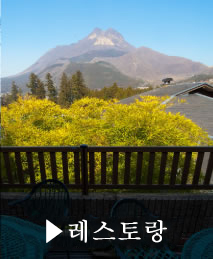 레스토랑
