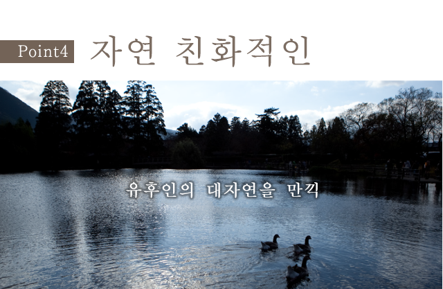자연 친화적인
