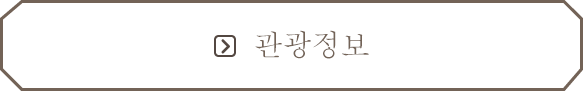 관광정보