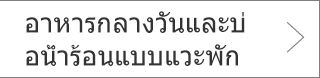 อาหารกลางวันและบ่อน้ำร้อนแบบแวะพัก